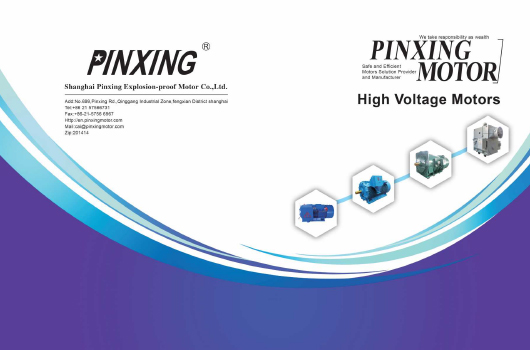 شرکت موتور ضد انفجار Pinxing Shanghai ، Ltd.